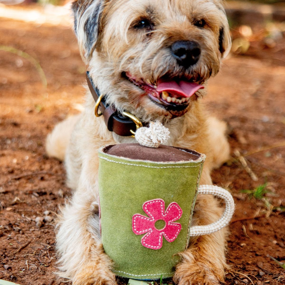Georgie Paws – Hotto Chocco (Puppuchino) Dog Toy